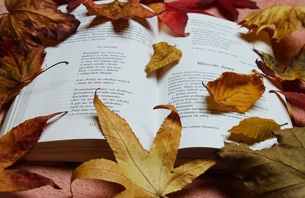 Comment participer au Printemps des poètes ?