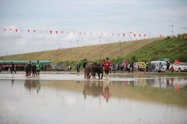 Comment découvrir et apprécier la diversité culturelle des festivals du monde ?